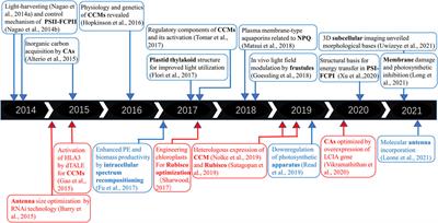 Recent Progress on Systems and Synthetic Biology of Diatoms for Improving Algal Productivity